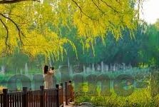 足球比分必中-揭秘足球比分必中背后的真相，理性观赛，拒绝赌博陷阱