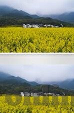 足球即肘比分-足球即肘比分之魂，赛场上的激情与智慧交响